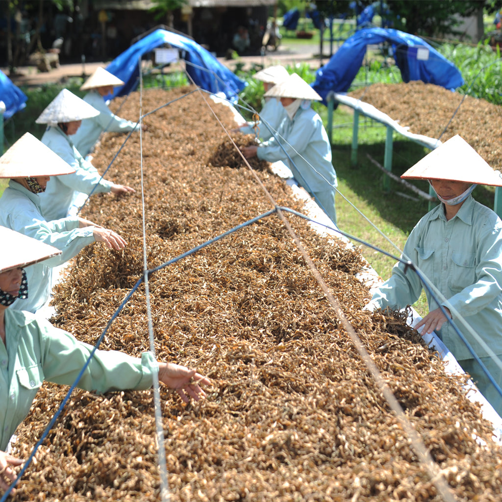 best supplements for hot flashes menopause natural remedies vietnam plantation | Free us shipping | www.crilahealth.com 