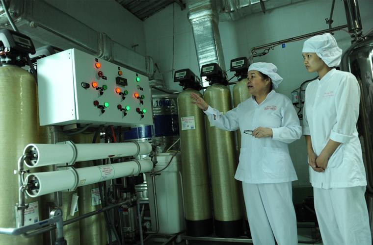 processing crila  Vietnam | Free us shipping | www.crilahealth.com  crinum latifolim