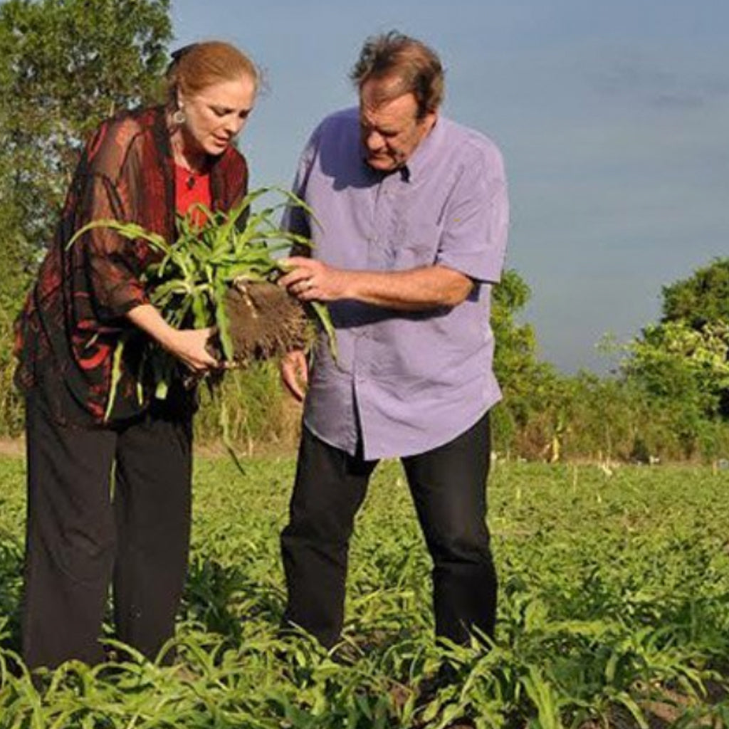 Sue McKinney Vietnam Crila plantation | Free us shipping | www.crilahealth.com 