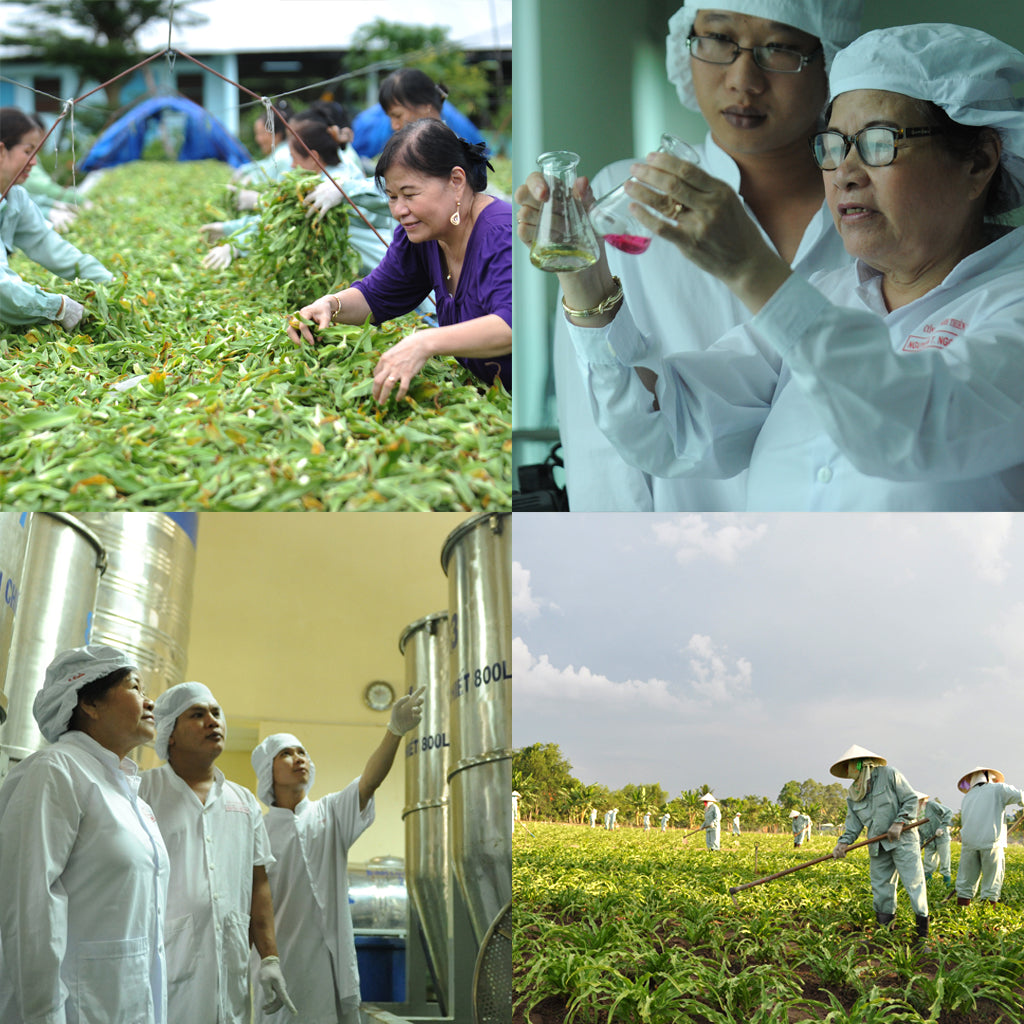  |  Asian herb natural menopause support woman doctor  plantation Vietnam | Free us shipping | www.crilahealth.com 